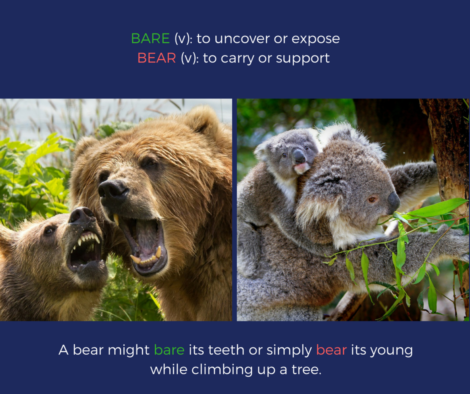 How to Correctly Use 40 Easily Confused Words and Avoid Blunders! Wordvice