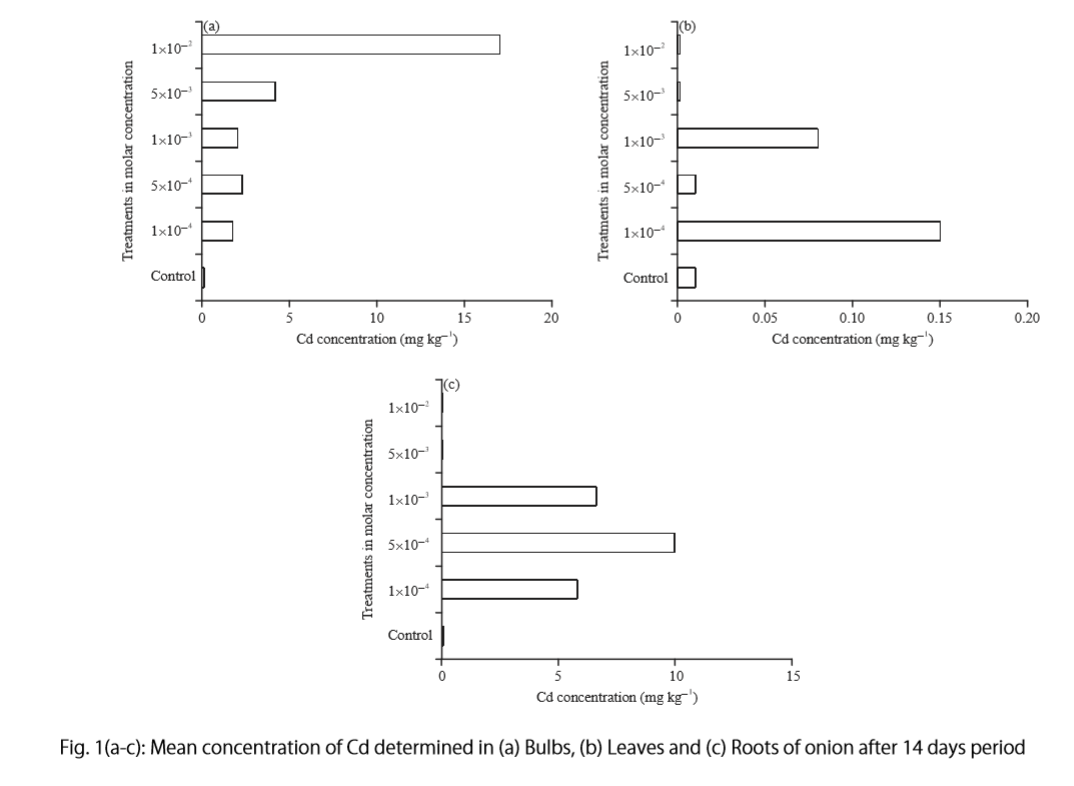 Results section. Literature Review Matrix. How important the Results are in research papers?.