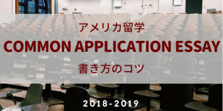 Top 4 Common Application Essay Tips