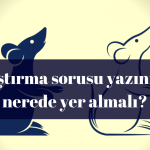 Araştırma sorusu yazınızda nerede yer almalı?