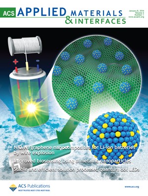 Flexible high-efficiency CZTSSe solar cells on diverse flexible substrates via an adhesive-bonding transfer method