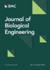 Dynamic interaction of injected liquid jet with skin layer interfaces revealed by microsecond imaging of optically cleared ex vivo skin tissue model